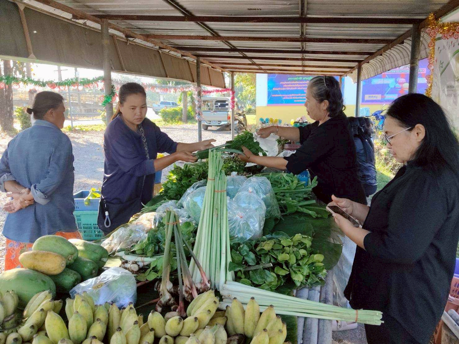 title - ร่วมกับวิสาหกิจชุมชนเกษตรกรผู้ปลูกฝรั่งบ้านเฮา และคณะครู สกร.อำเภอหนองเสือ จัดกิจกรรม 